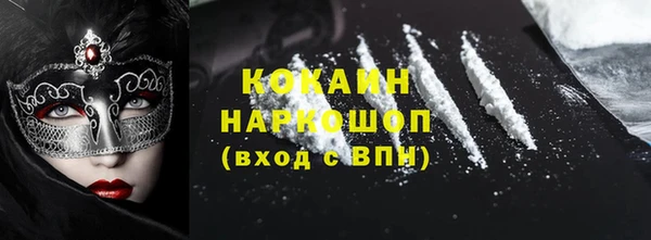 соль ск Алексин