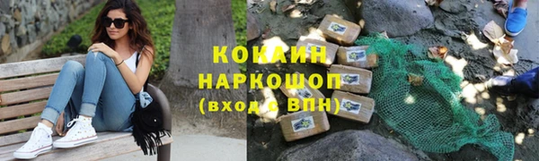 соль ск Алексин