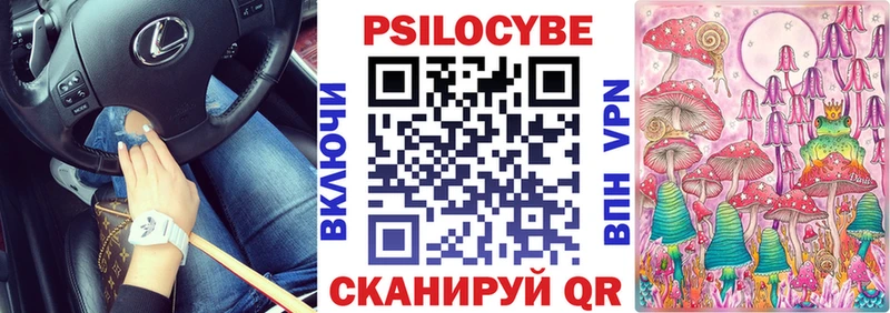 Псилоцибиновые грибы Cubensis  Новоульяновск 